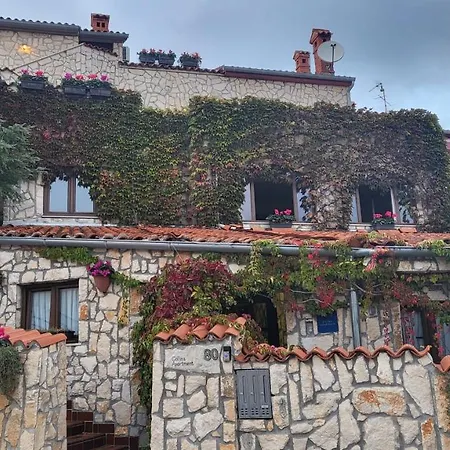 Collins アパート