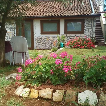 アパート Collins プーラ